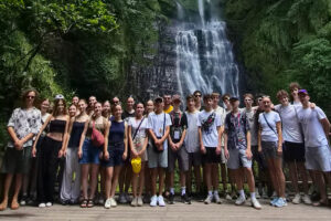 Slnečnica Taiwan