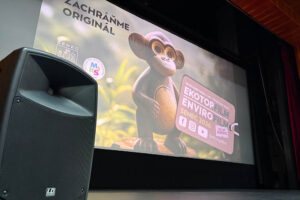 Ekotopfilm