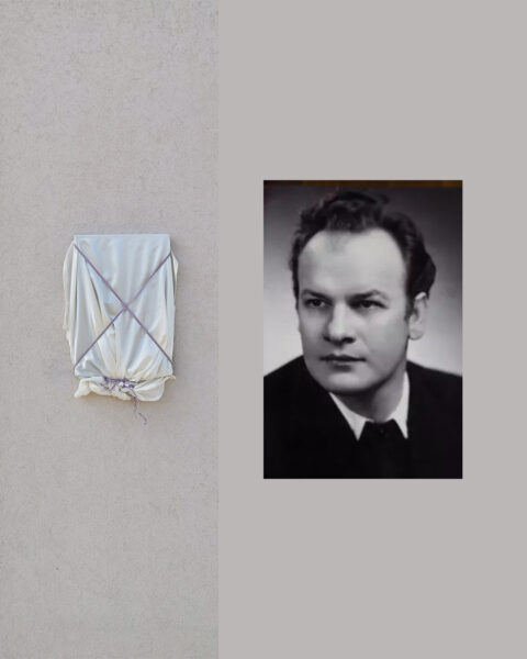 Farkasjeno