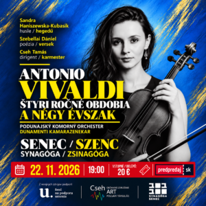 Vivaldi Senwc 1-1